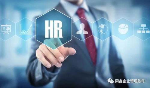 战略型同鑫ehr系统 赋能集团型企业，根治人力资源管理的五大顽疾